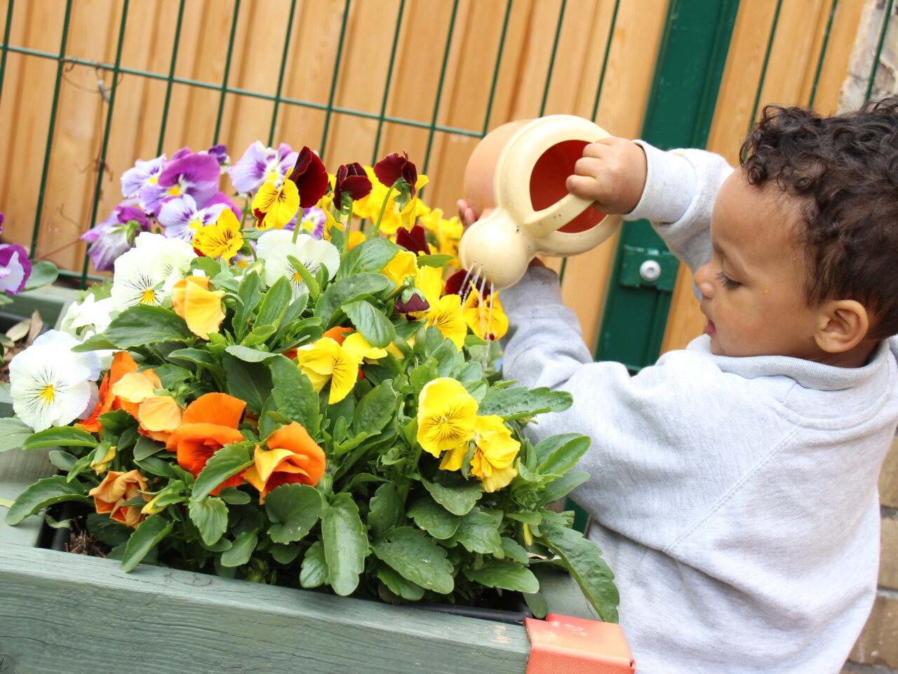 Boy watering flowers
